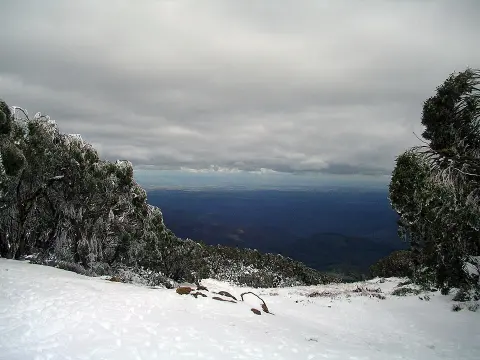 Baw Baw National Park