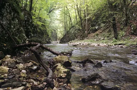 Semenic-Cheile Carașului National Park