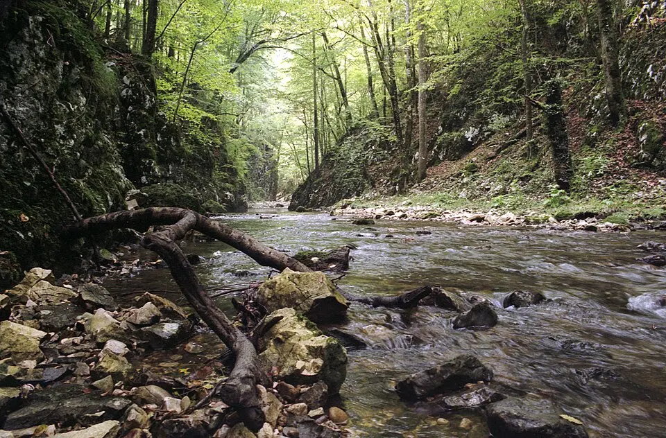 Semenic-Cheile Carașului National Park