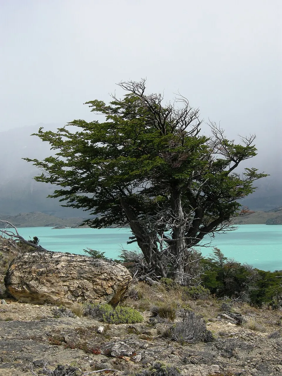 Perito Moreno National Park