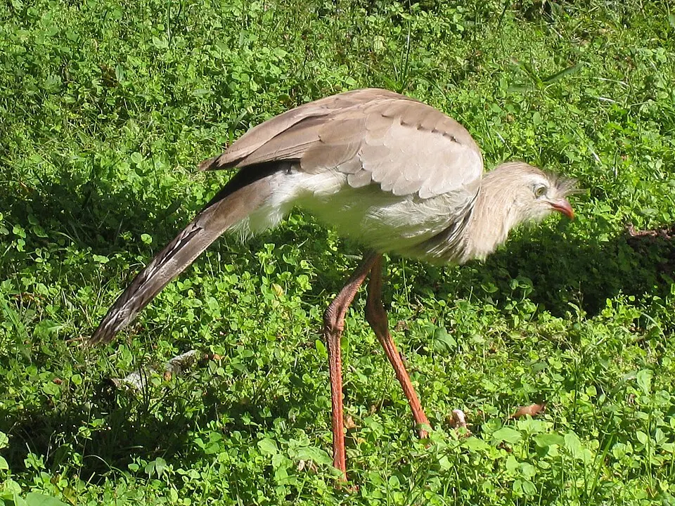 El Rey National Park