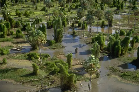 Río Pilcomayo National Park
