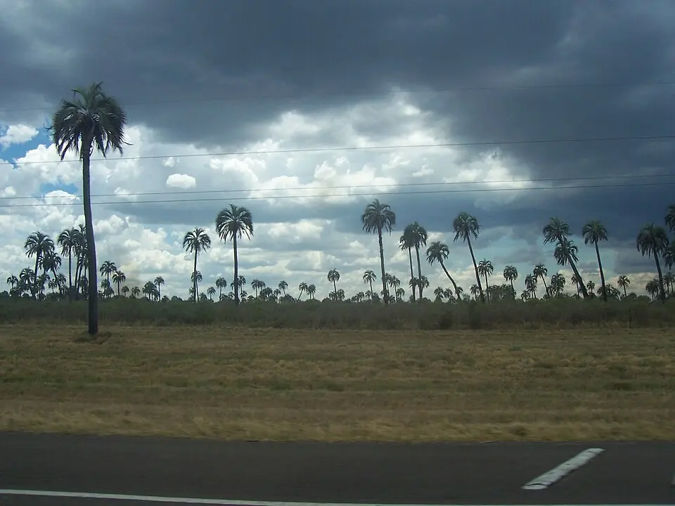 El Palmar National Park