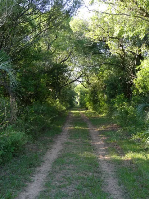 Mburucuyá National Park