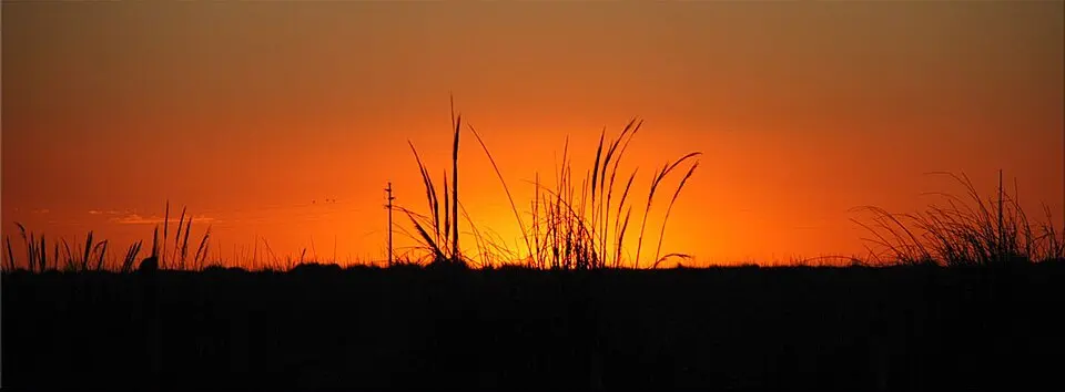 Campos del Tuyú National Park