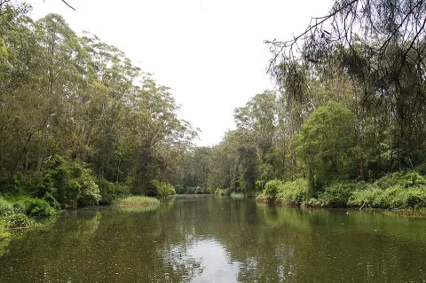 Lane Cove National Park