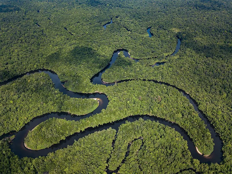 Southern Cardamom National Park