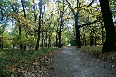 Kreminna Woods National Nature Park