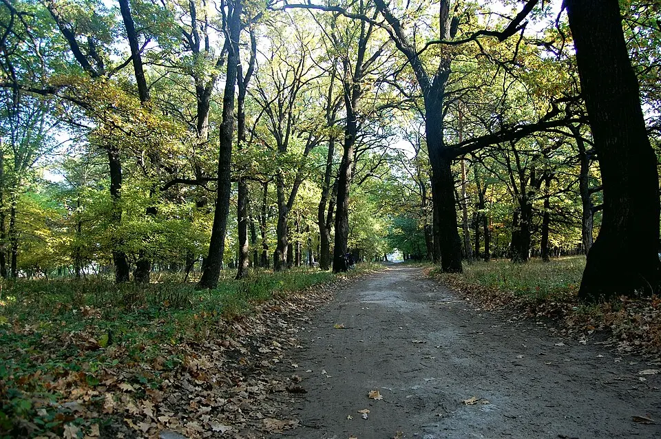 Kreminna Woods National Nature Park