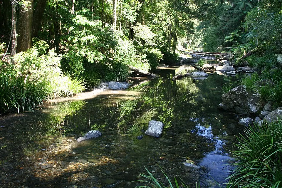 Bindarri National Park
