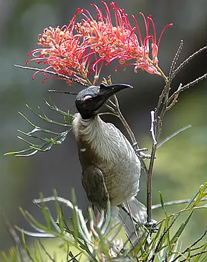 Bingera National Park