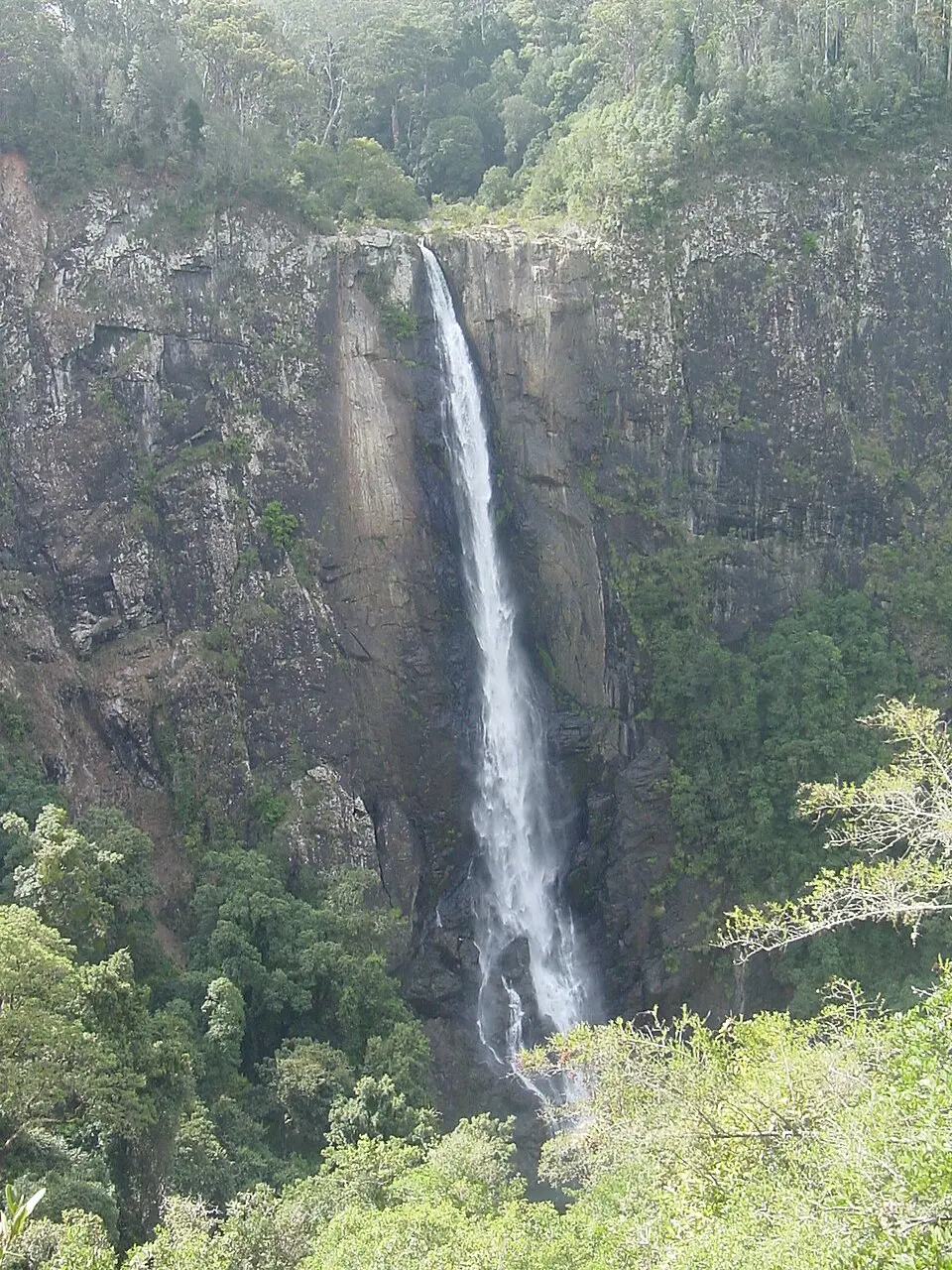 Biriwal Bulga National Park