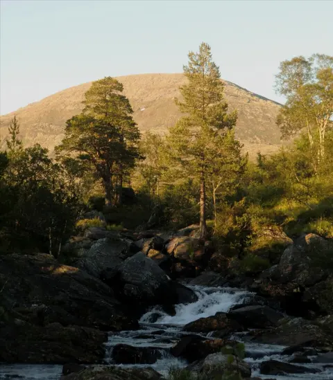Blåfjella–Skjækerfjella National Park