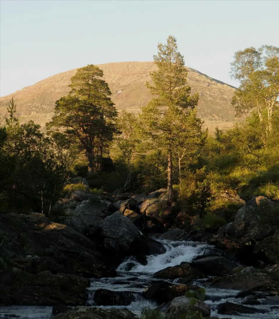 Blåfjella–Skjækerfjella National Park