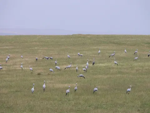 Bontebok National Park