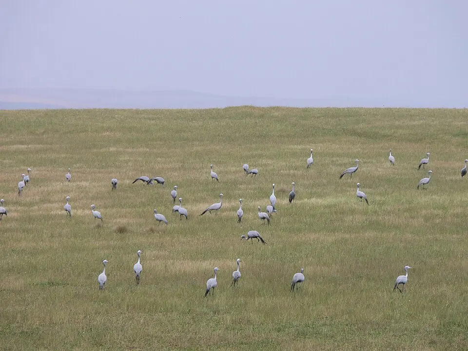 Bontebok National Park