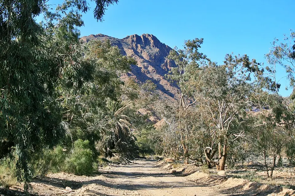 Bou-Hedma National Park