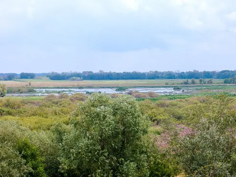 Kiskunság National Park
