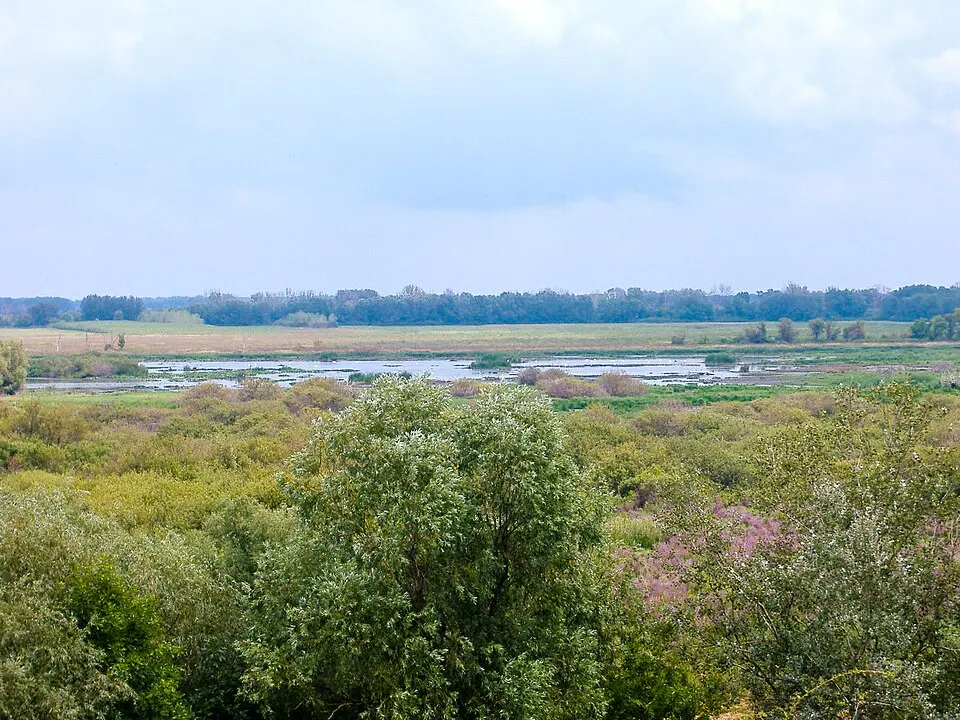 Kiskunság National Park