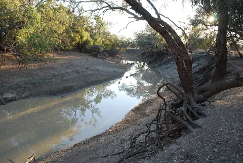 Culgoa National Park