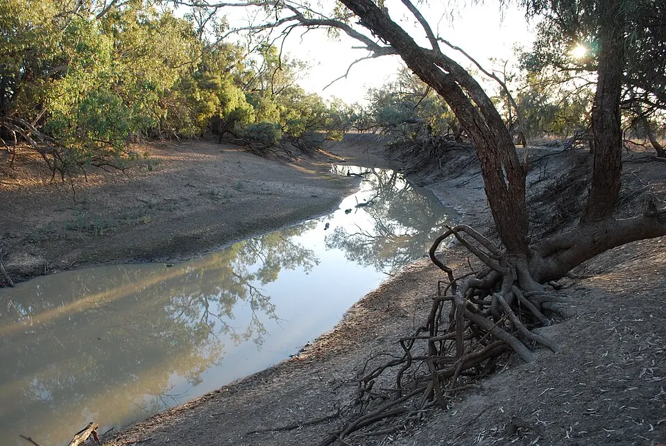 Culgoa National Park
