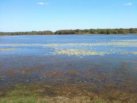 Rinyirru (Lakefield) National Park