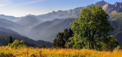Sochi National Park
