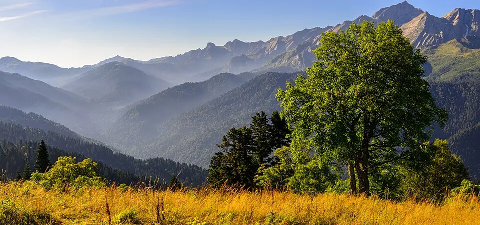 Sochi National Park