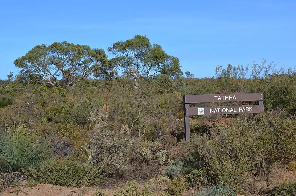 Tathra National Park
