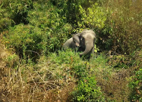 Inani National Park