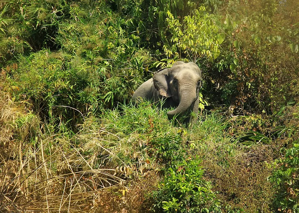 Inani National Park