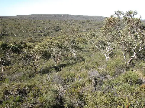 Lesueur National Park