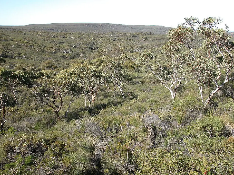 Lesueur National Park