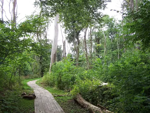 Dalby Söderskog National Park