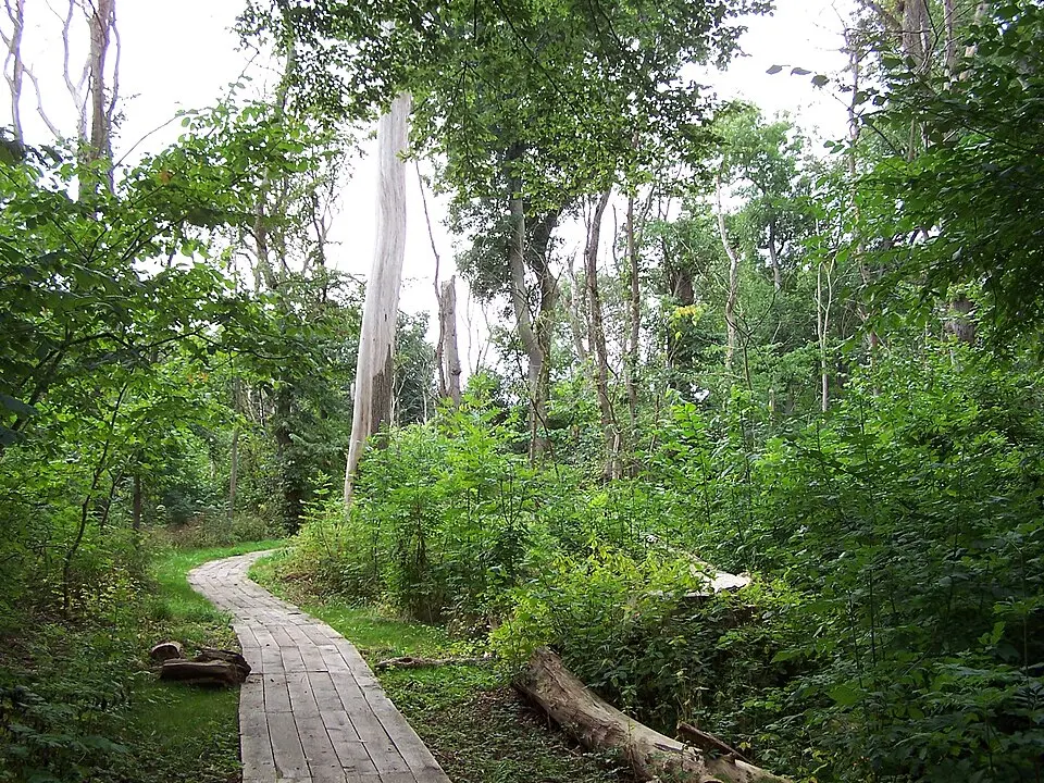 Dalby Söderskog National Park