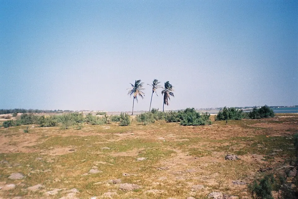 Langue de Barbarie National Park