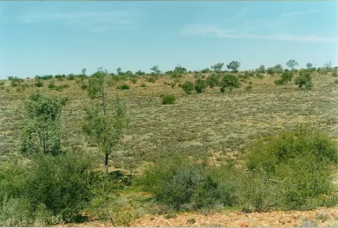 Sturt National Park