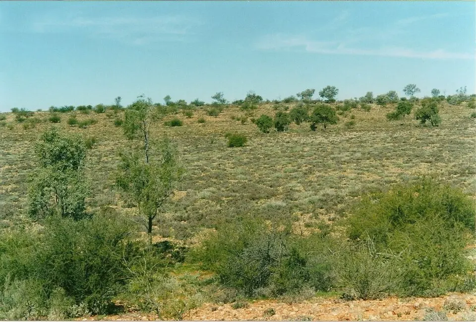 Sturt National Park